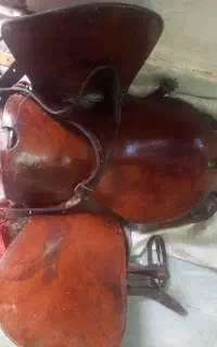 زین اسب اصل