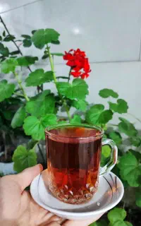 چای بهاره امسال اصلی درجه یک