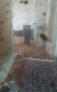 بره ماده