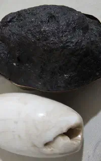 مهره اصل