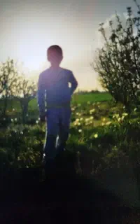 علوفه تازه
