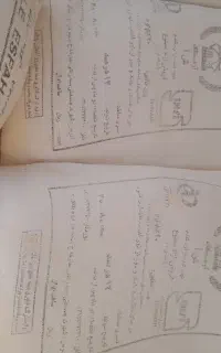 آرد گندم