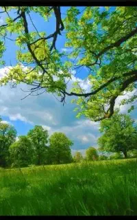 تور یک روزه شمال