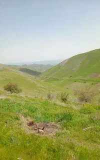 جویای کار