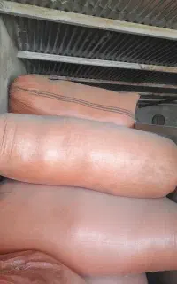 کاه گندم