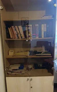 کمدکتاب ایستاده