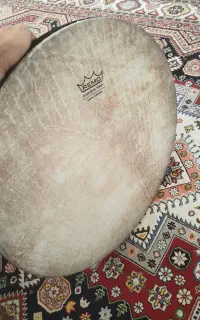 دف شما کمپانی نو