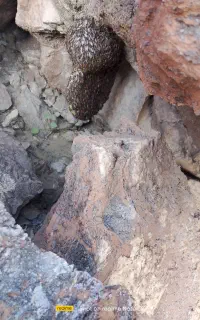 درخدمت شما هستم تمام سیستان بلوچستان