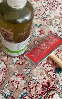 شامپووبرس سگ نو