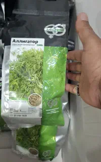 بذرشوید گاویش  اصل