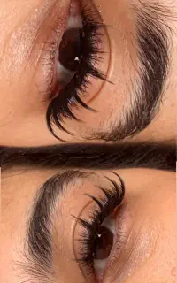 خدمات مژه