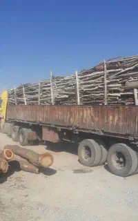 خرید انواع چوب و درخت با بالاترین قیمت
