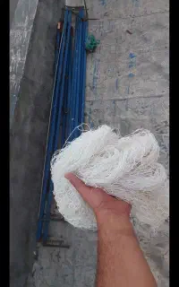 تور کفتر