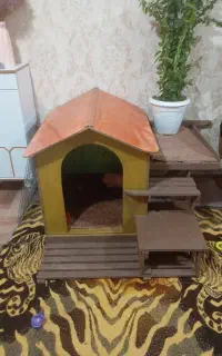 لونه خوشگل