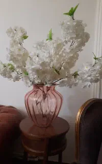 گل شکوفه بلند خارجی