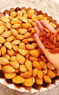 بادام سنگی / بادام درختی    شیرین / شیراز  ۵۴۰/۰۰۰