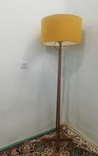 آباژور کاملا سالم