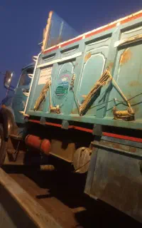 تک حمل گوجه
