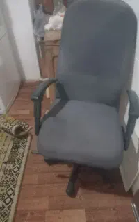 صندلی جکدار گردون سالم