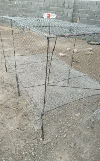 قفس