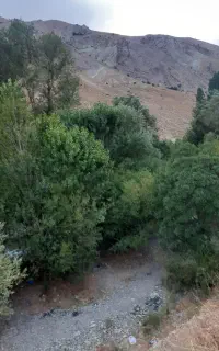 طبیعت گردی و کمپ در بهترین لوکیشن های جاده چالوس