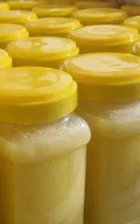 روغن حیوانی ۱۰۰٪ خالص گاوی - کیفیت درجه یک