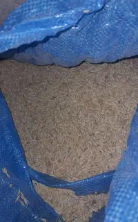جو فروشی