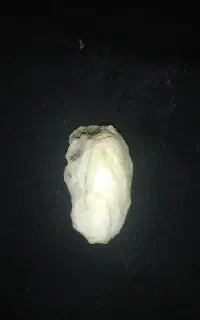 سنگ کوارتز اصل