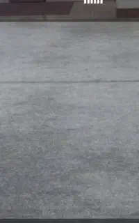 فرش،پالاز موکت