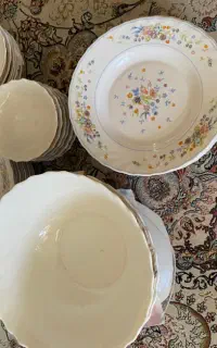 سرویس ارکوپال ویکتوریا فرانسه