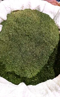 شوید