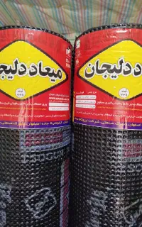 ایزوگام سالاری
