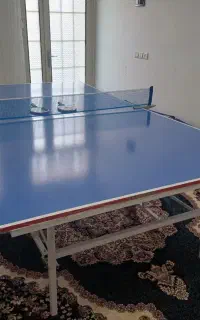 میز پینگ پنگ توس اسپورت