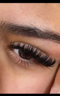 کاشت مژه هیدن محدوده فلسطین