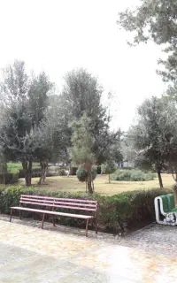 طبیعت گردی