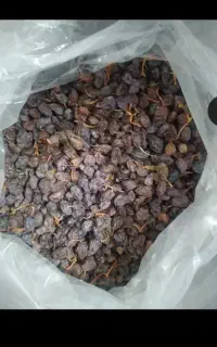 مویز پاک شده عمده و خرده