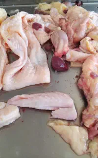 پوست و سربال و اسکلت مرغ