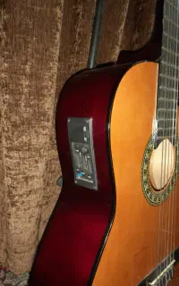 گیتار آریانا پیکابدار