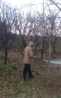 سمپاشی باسابقه(۳۰)ساله