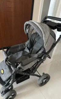 کالسکه ی دلیجان بدنه ی بنیتا