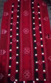 زی استین