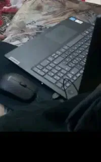 موس و زیر موسی
