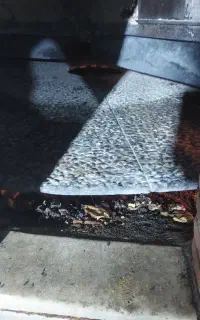 فروش ساج سنگک