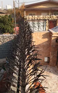 تولید شاخ گوزنی حفاظ درب پنجره