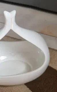 شکلات خوری اجیل خوری