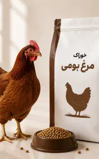 فروش دان مرغ بومی مهدانه البرز
