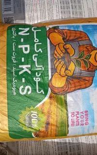 نمایندگی کودای اورگانیک کروا