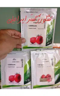 باسیو و بدرو سمینیس تاریخ جدید فلات