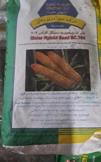 ذرت بذری مغان704 تاریخ روز پرمحصول قیمت310