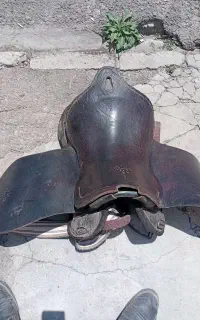 زین عبد الخالق